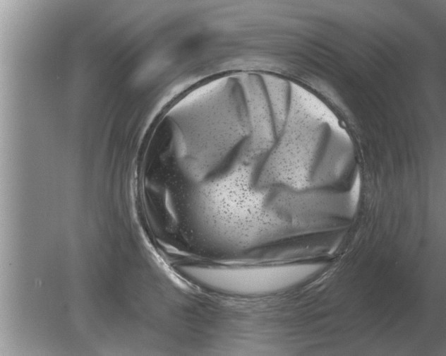 X0000080181040200612302240