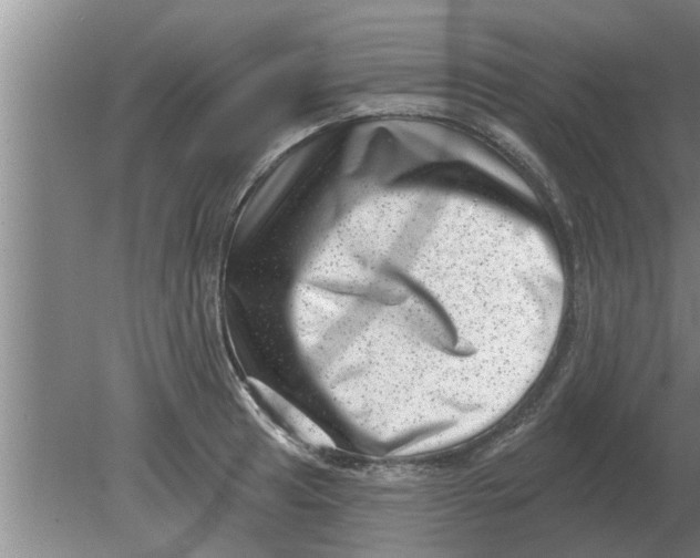 X0000080181041200612302240