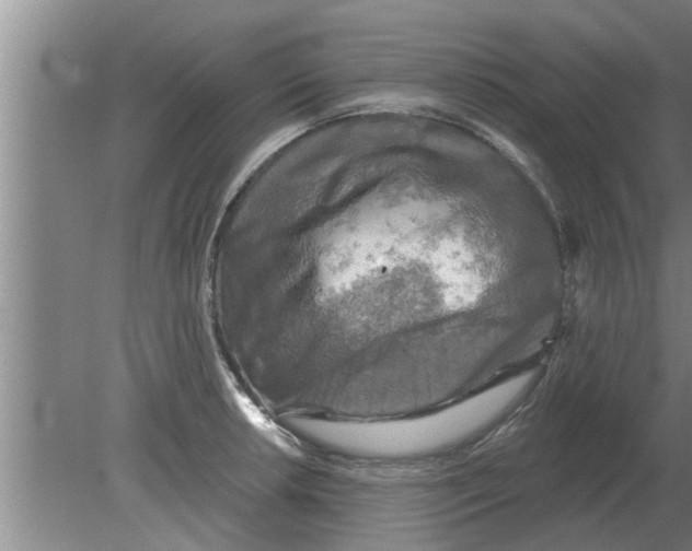 X0000080181042200612302240