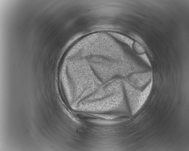 X0000080181043200612302240