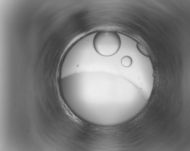 X0000080181044200612302240