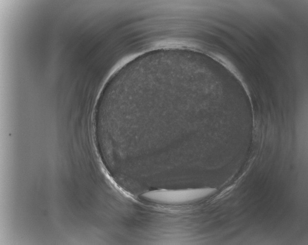 X0000080181045200612302240