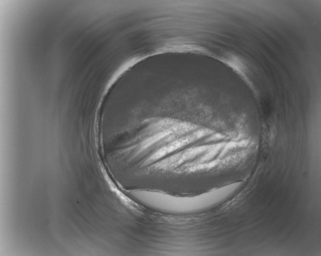 X0000080181046200612302240