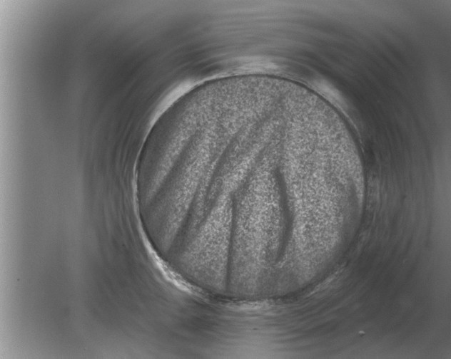 X0000080181047200612302240