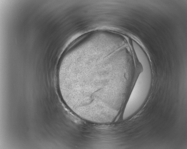 X0000080181048200612302240