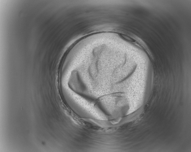 X0000080181051200612302240