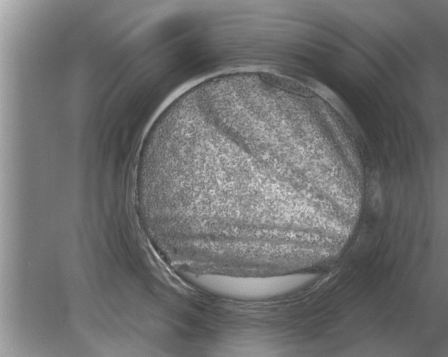 X0000080181052200612302240