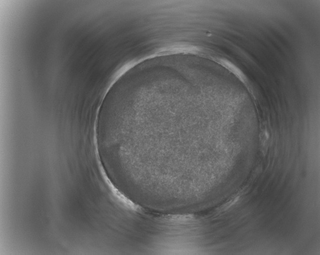 X0000080181055200612302240