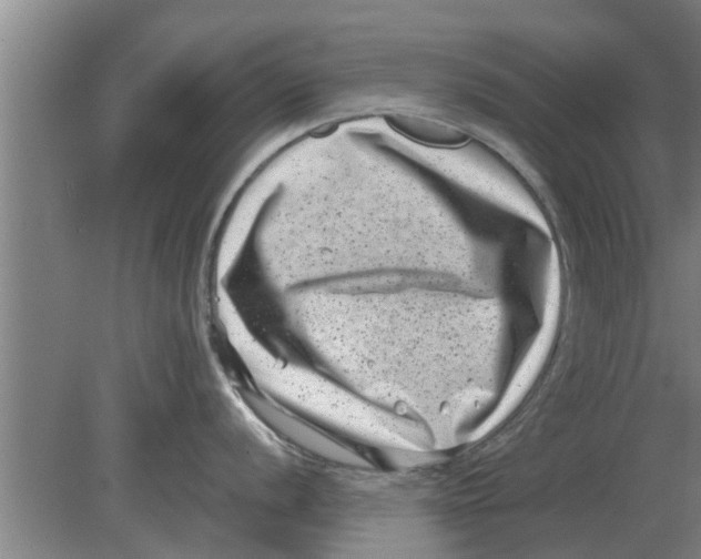 X0000080181056200612302240