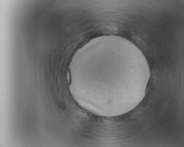 X0000080181057200612302239