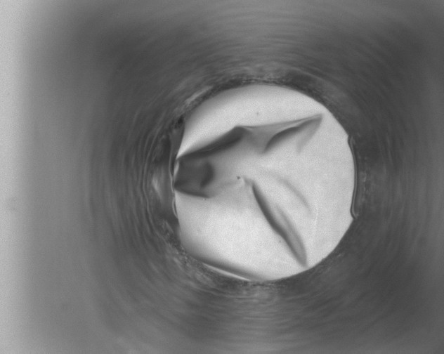 X0000080181058200612302239