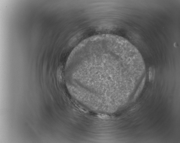 X0000080181059200612302239