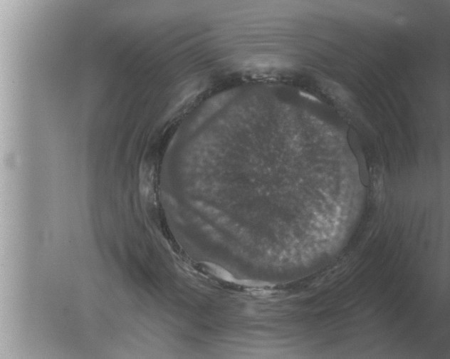 X0000080181060200612302239