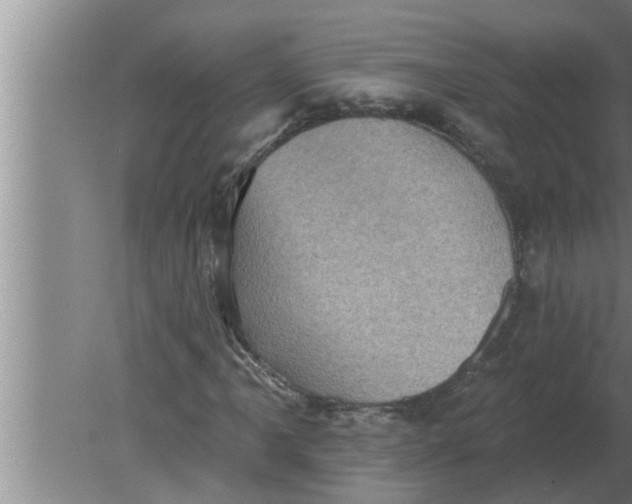 X0000080181061200612302239