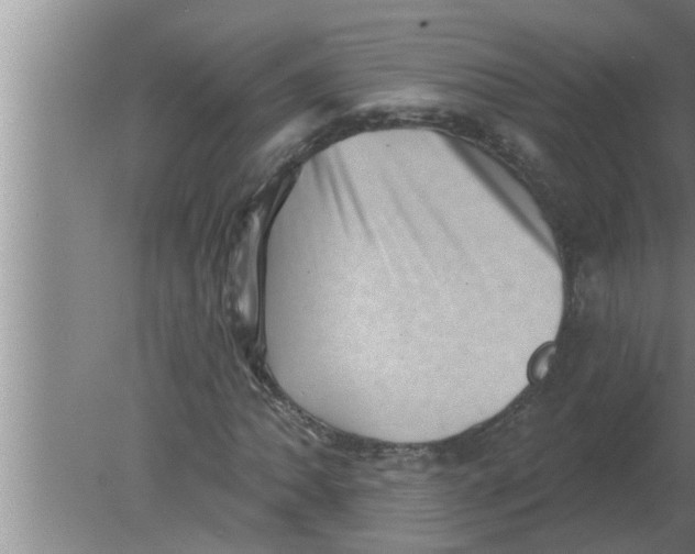 X0000080181062200612302239