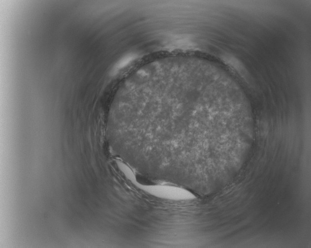 X0000080181063200612302239