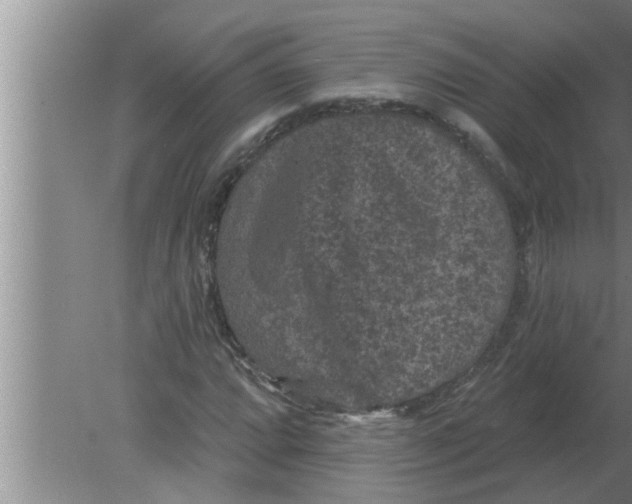 X0000080181064200612302239