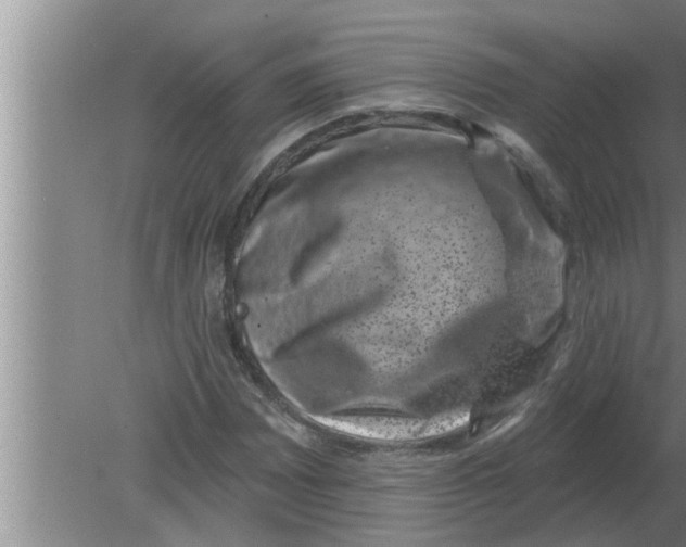 X0000080181065200612302239