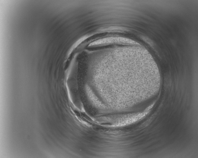 X0000080181066200612302239