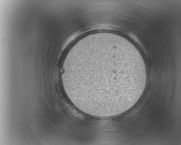 X0000080181067200612302239