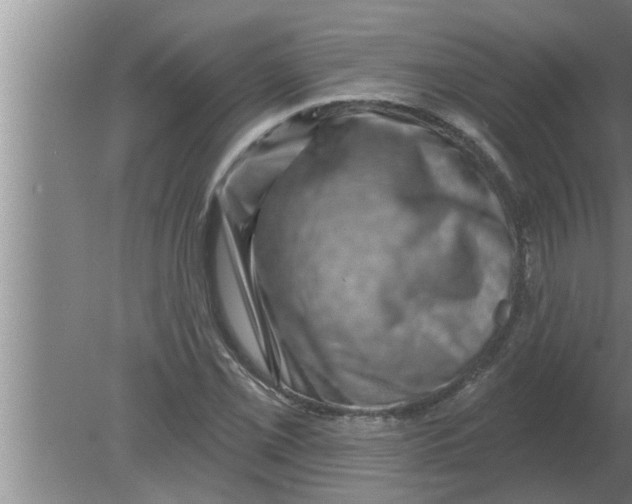 X0000080181069200612302239