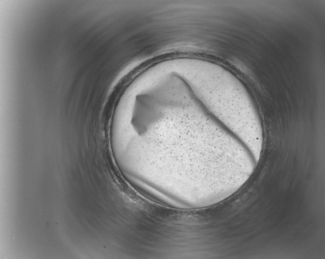 X0000080181070200612302239