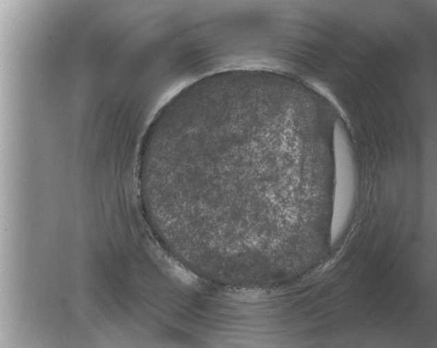 X0000080181071200612302239