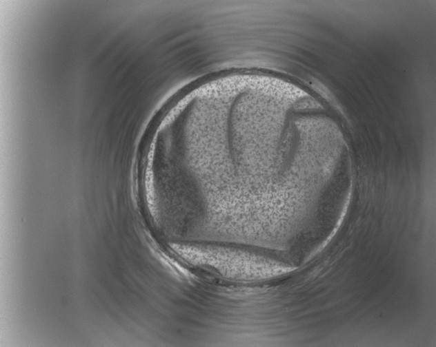 X0000080181076200612302239