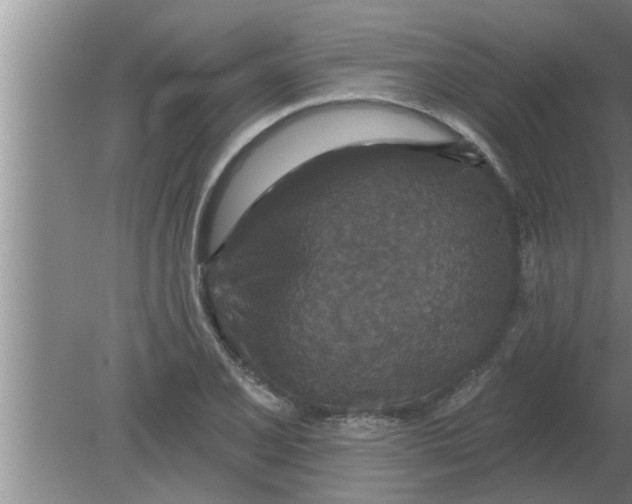 X0000080181077200612302239