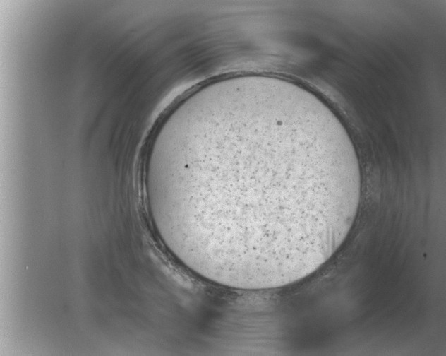 X0000080181078200612302239