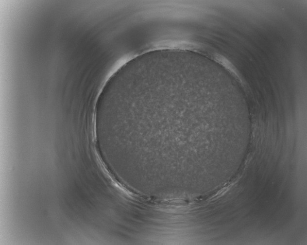 X0000080181079200612302239