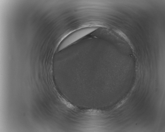 X0000080181081200612302239