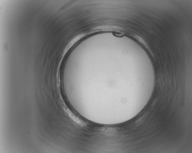 X0000080181082200612302239