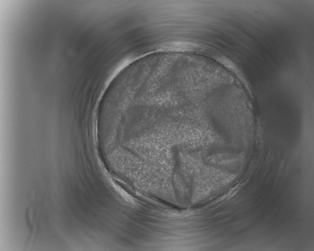 X0000080181083200612302239