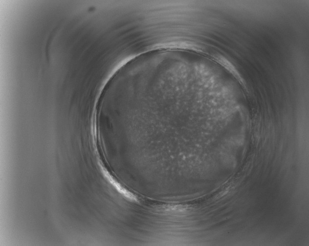 X0000080181084200612302239