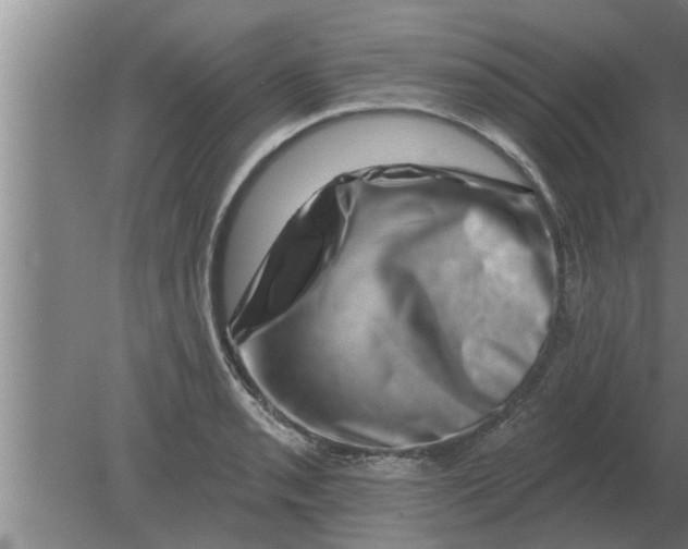 X0000080181085200612302239