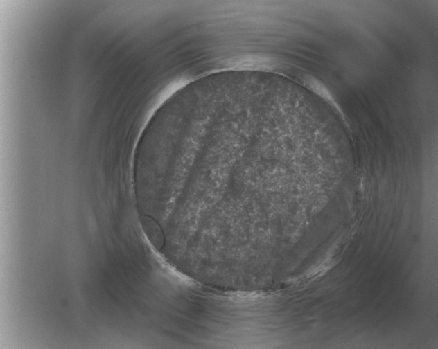 X0000080181087200612302239