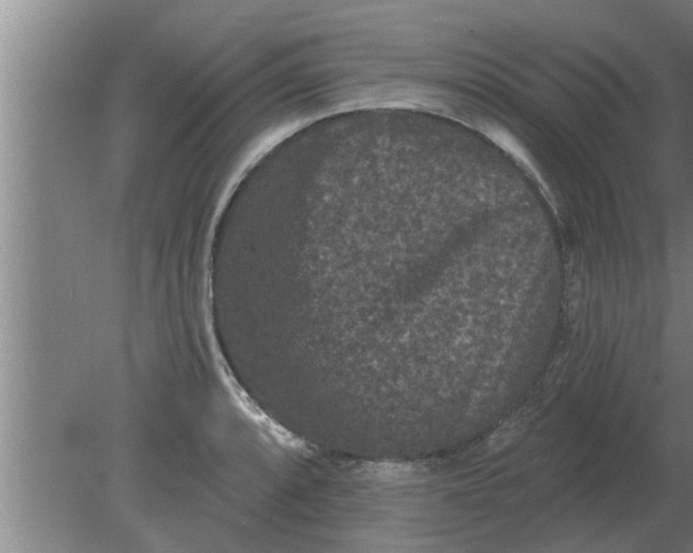 X0000080181088200612302239