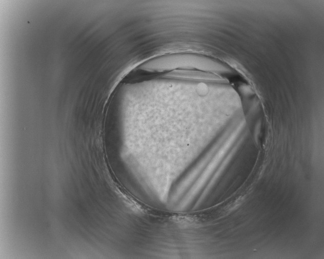 X0000080181089200612302239