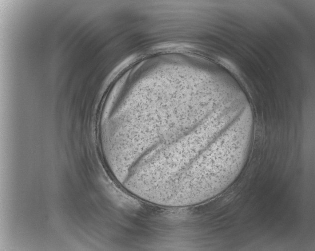 X0000080181090200612302239