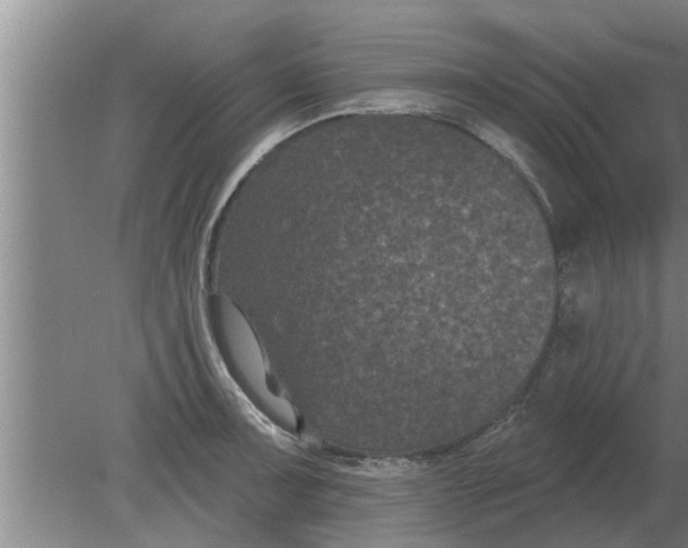 X0000080181091200612302239