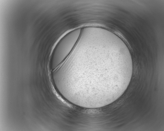 X0000080181092200612302239