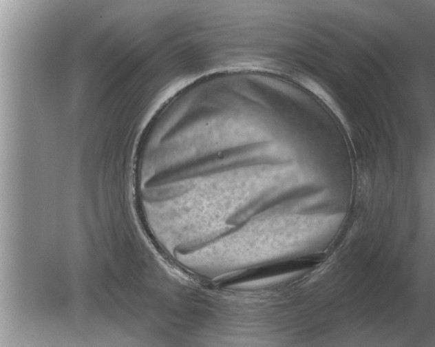 X0000080181093200612302239