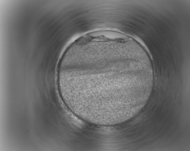 X0000080181096200612302239