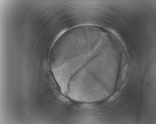 X0000080181097200612302239