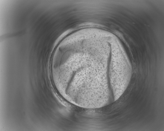 X0000080181098200612302239