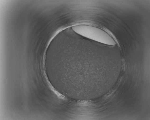 X0000080181099200612302239