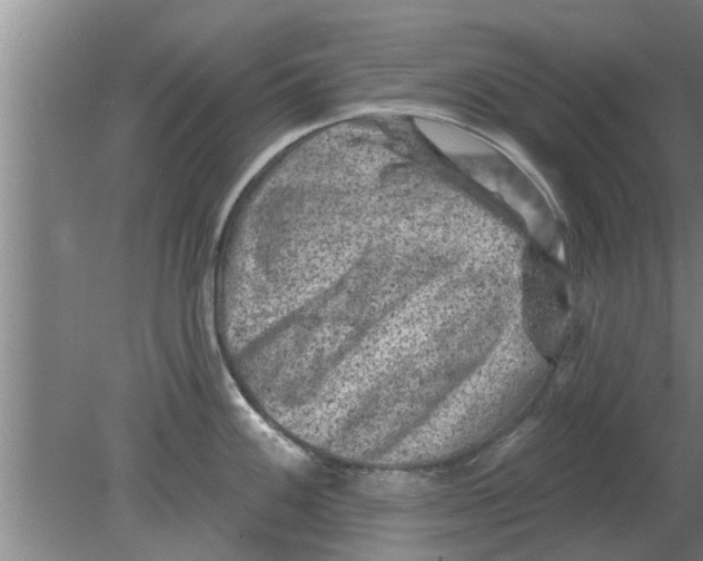 X0000080181100200612302239