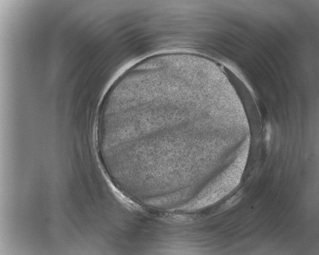 X0000080181101200612302239