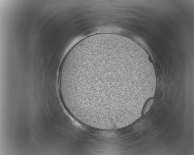 X0000080181103200612302238